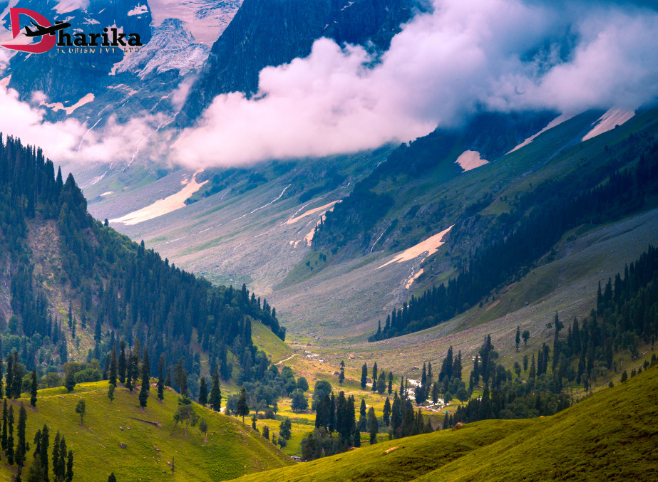 Luxury Tours